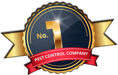 No.1 Sydney Pest Control Company